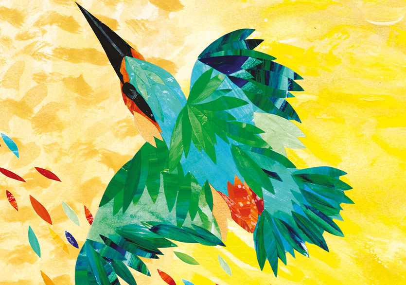 Yalıçapkını Olmak Neye Benzer?