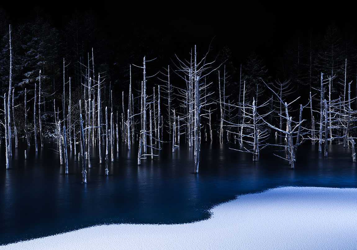 Sony Dünya Fotoğraf Ödülleri Açıklandı

