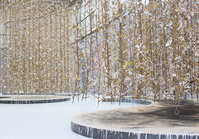 Bu Çiçekler Kırılmaya Fazlasıyla Müsait