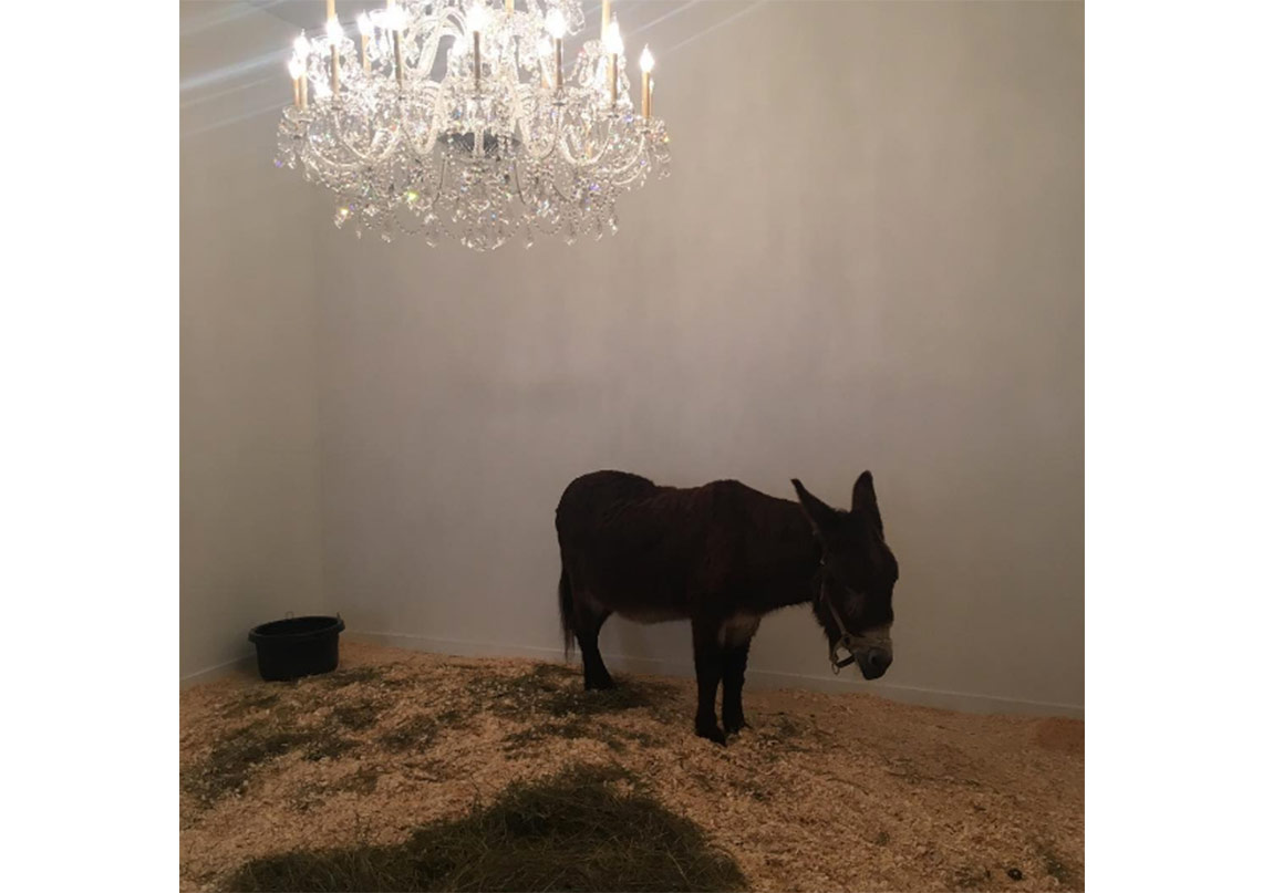 Frieze Art Fair New York Başladı!