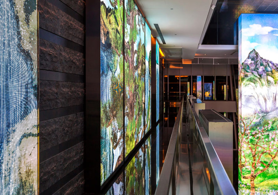 Tayvan’ın Vahşi Yaşamı Bir Bankanın İçinde