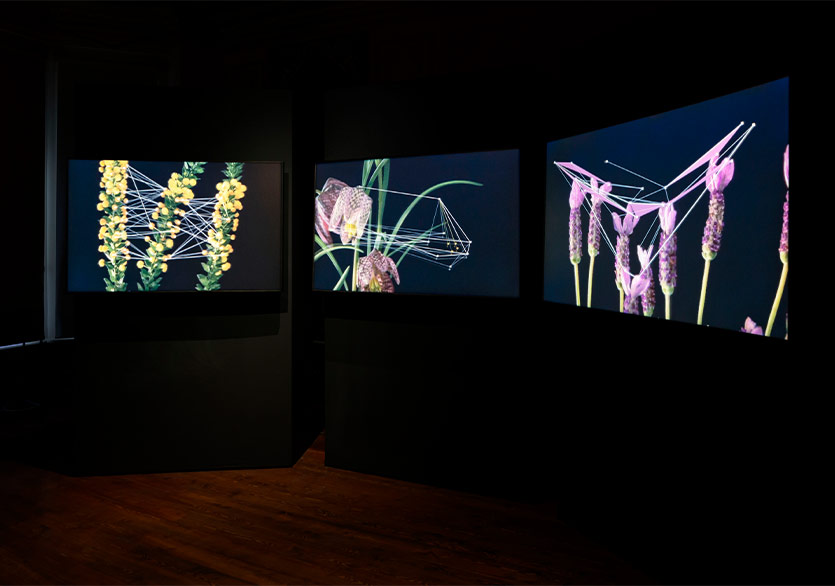 Doğa Temalı Bir Dijital Sanat Deyimi “Flora” Sergisi Kalyon Kültür’de