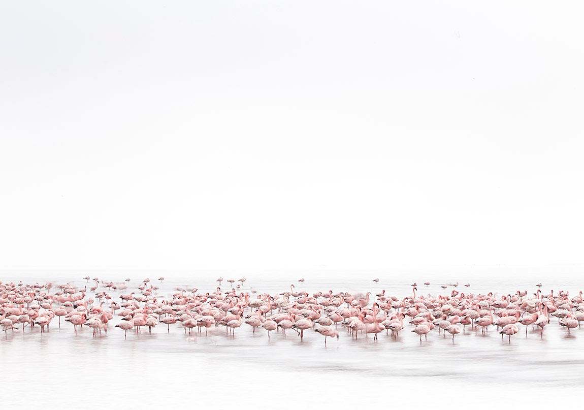 Sony Dünya Fotoğraf Ödülleri Açıklandı
