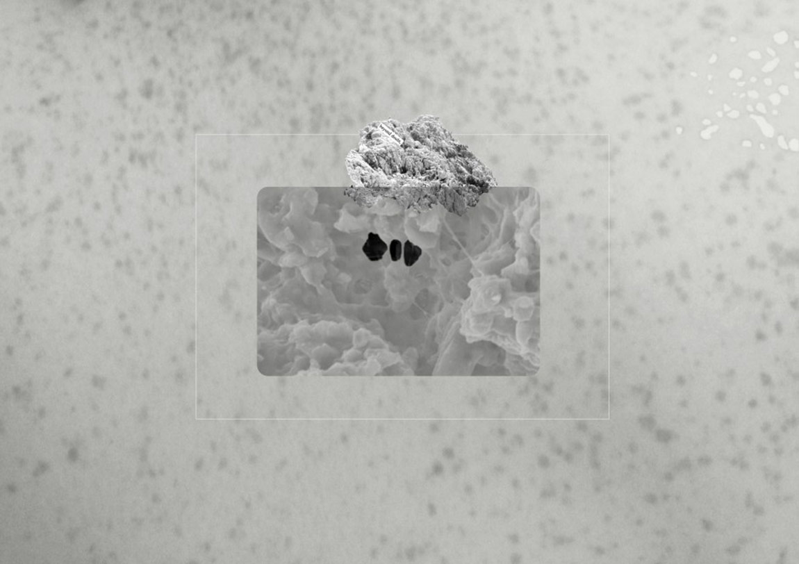 Organik ve İnorganiğin Eşiğinde Bir Ütopya