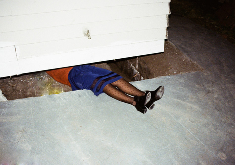 Simbiyotik Bir Ortaklığın Fotoğrafları