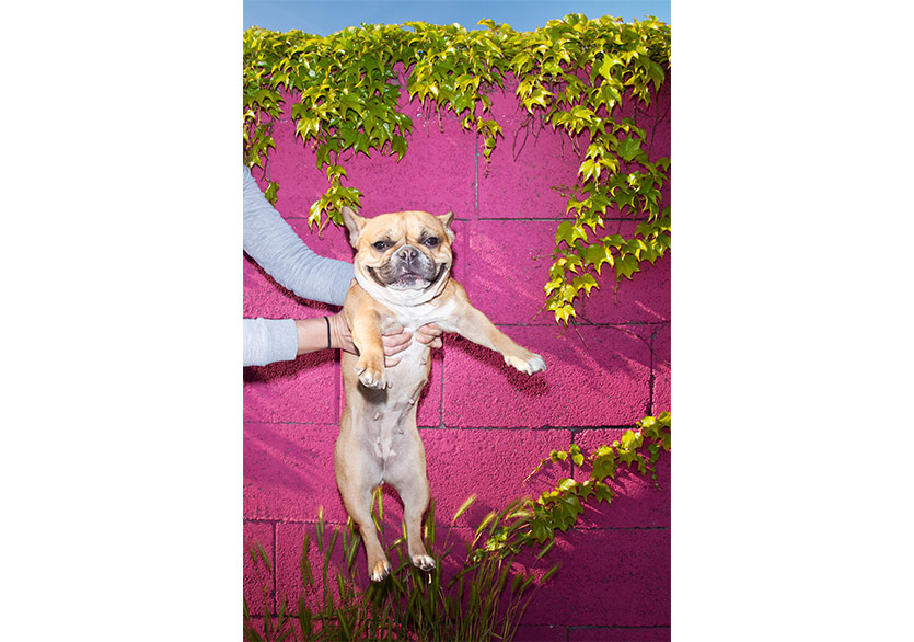 212 Photography Istanbul 5 Ekim’de Başlıyor