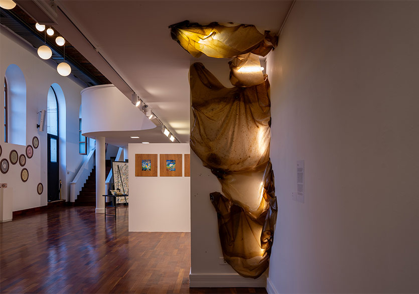 SaDe 2024-2025 Dönemi Sergisi Açıldı