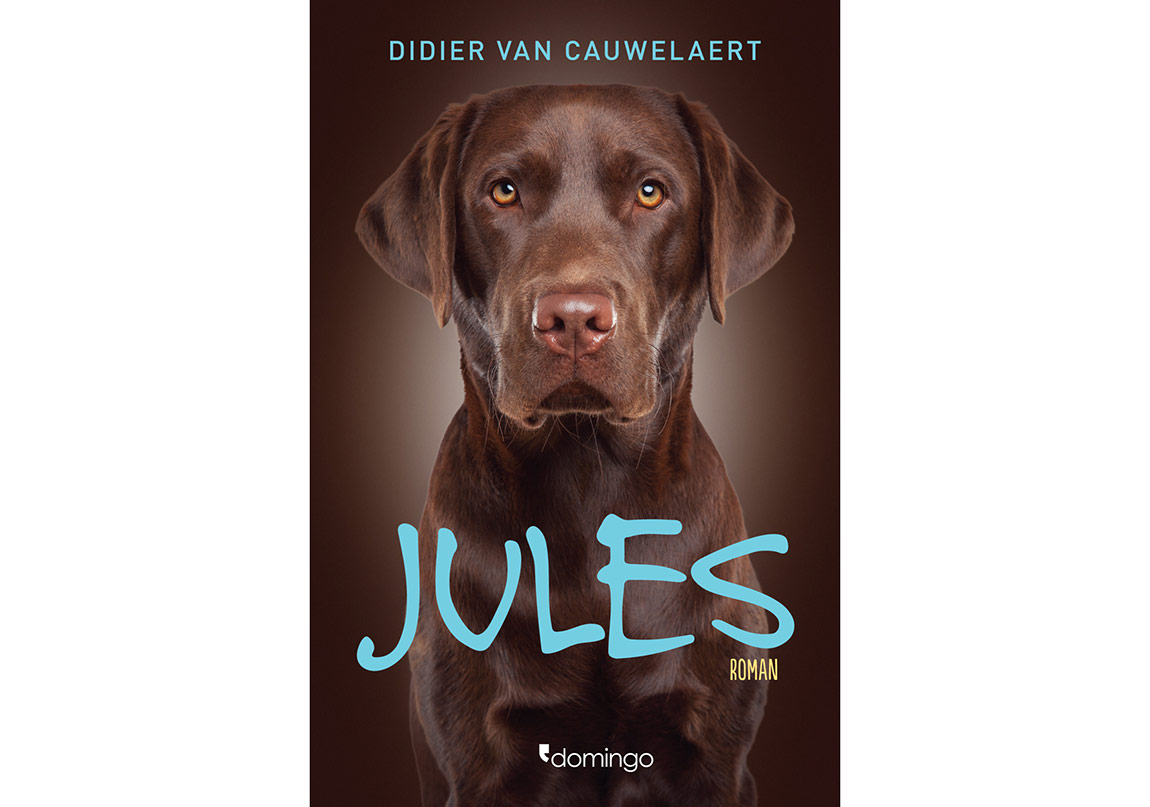 Şartsız Sevgi ve Sadakate Dair: JULES