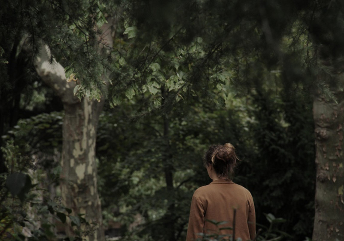 Kaygı Amerika Gösterimini Yapıyor!
