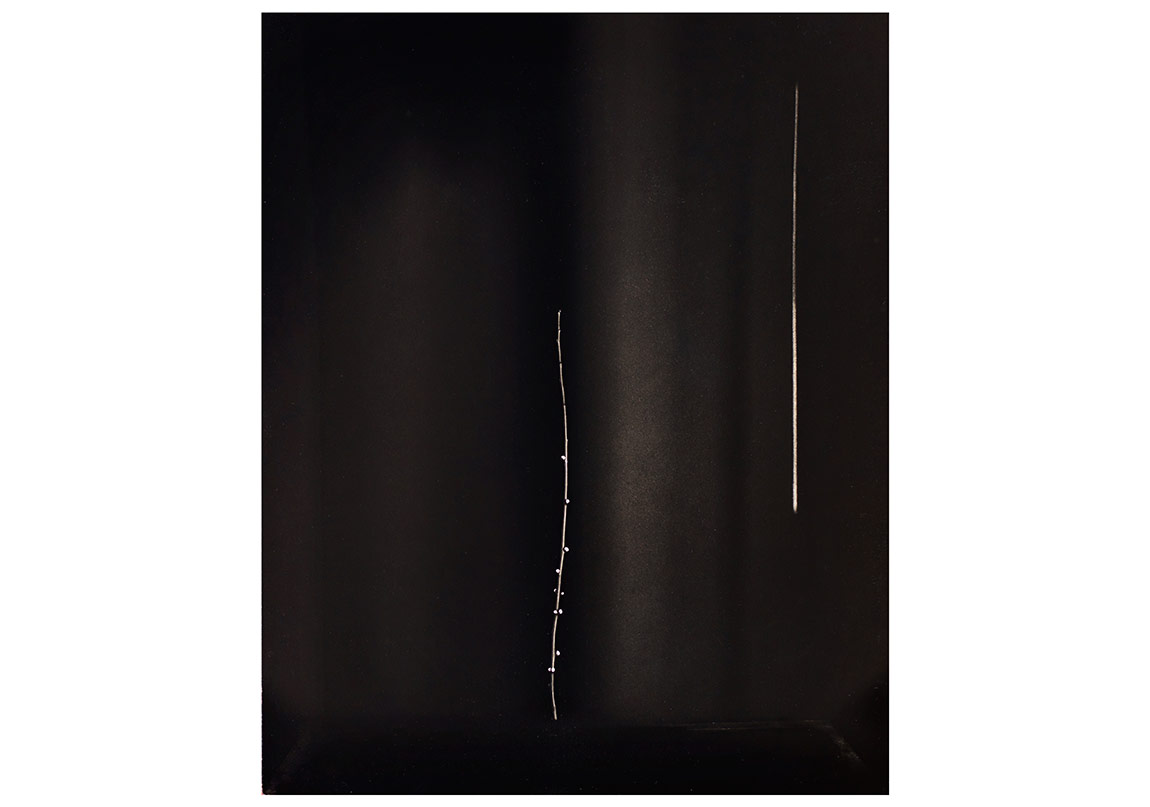 Karanlığın Derinliğine Doğru
