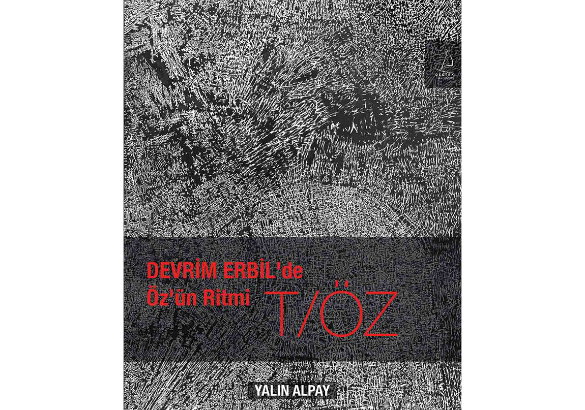Devrim Erbil Resimlerini Anlama Kılavuzu