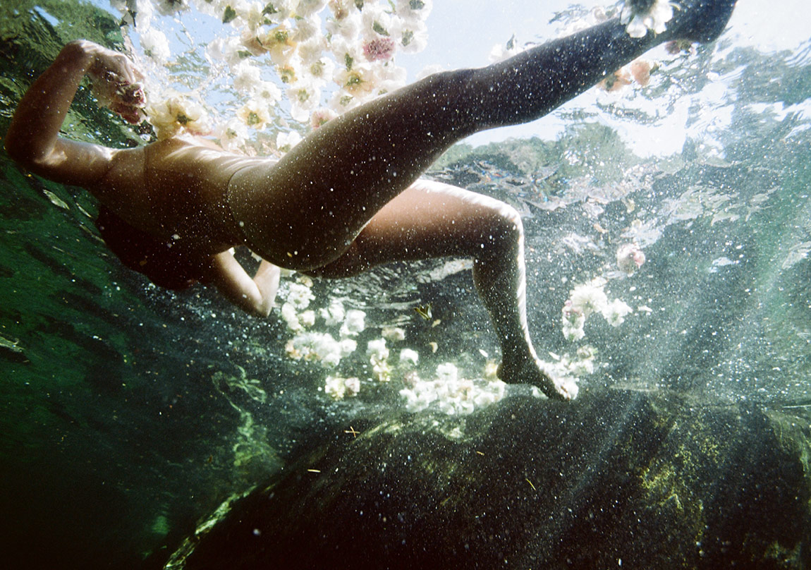 Portrelere Yansıyan Çiçekler