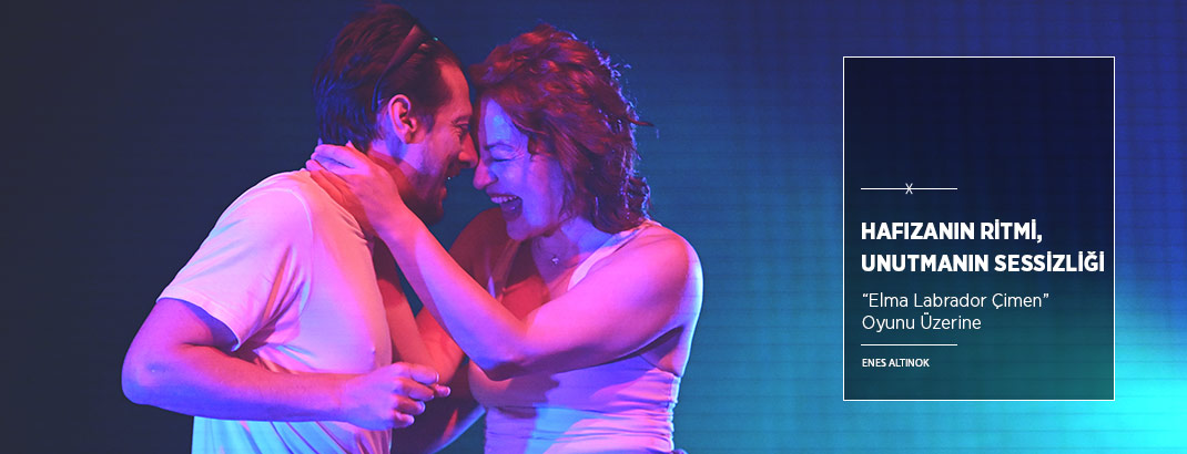Hafızanın Ritmi, Unutmanın Sessizliği: “Elma Labrador Çimen”