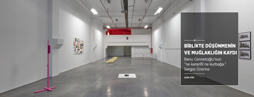 Birlikte Düşünmenin ve Muğlaklığın Kaydı: “ne karanfil ne kurbağa.”