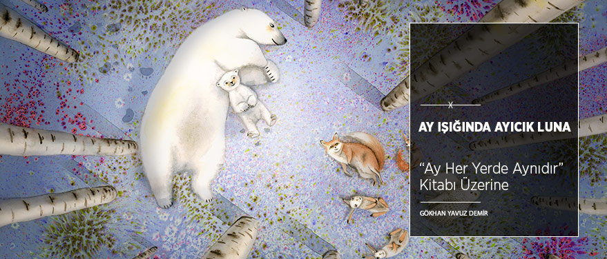 Ay Işığında Ayıcık Luna