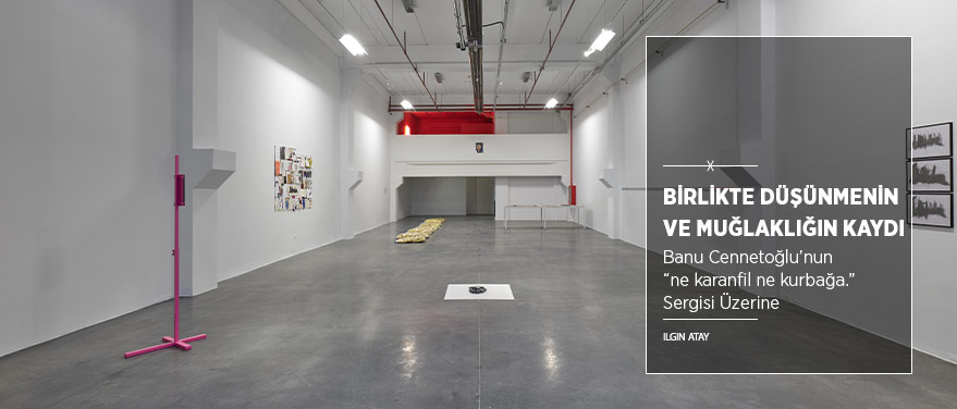 Birlikte Düşünmenin ve Muğlaklığın Kaydı: “ne karanfil ne kurbağa.”