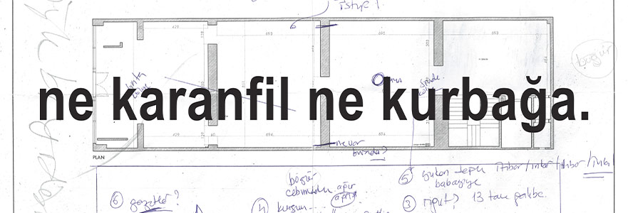 Birlikte Düşünmenin ve Muğlaklığın Kaydı: “ne karanfil ne kurbağa.”