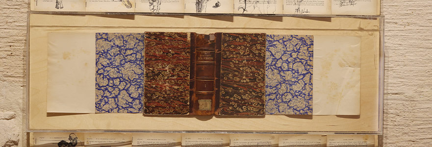 Mardin’de Bir Arada Üretimle Açığa Çıkan ve Çoğalan Öz: “MAYA”