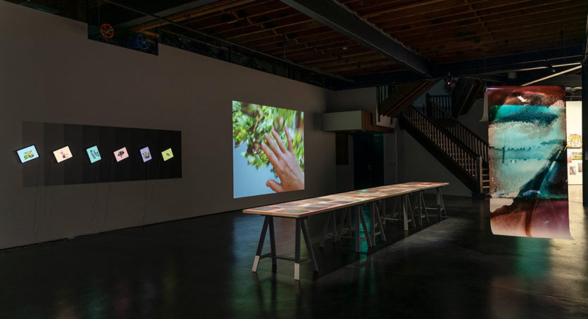 KASA Galeri’den Yeni Sergi: “Symbolic Vault: Entanglements of Human, Nature, Machine”