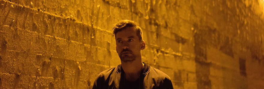 Bonobo: 