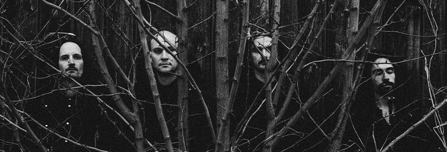 “Dünya, Bu Albümün Sessiz Bir Ortağıydı”