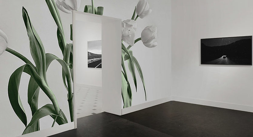 Vision Art Platform’dan İki Yeni Sergi