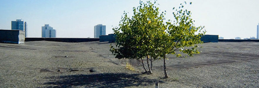 Malzemenin Sizi Bir Yere Götürmesine İzin Vermek Gerekir